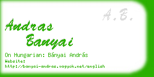 andras banyai business card